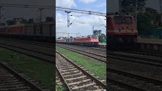 WAP 4 locomotive 🚂🚂 #indinarailways #viralvideo #train #shortsvideo