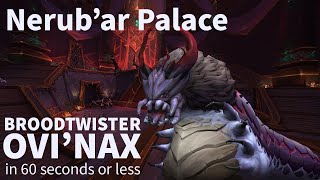 Broodtwister Ovi'nax Mechanics for DPS in 60 Seconds or Less | Nerub'ar Palace Quick Guide