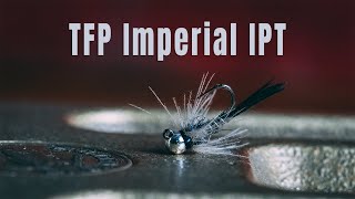 This Pheasant Tail Pattern Gets Crushed | How To Tie The TFP Imperial IPT (Fly Tying)