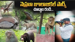 _-_zoo park 🏞️  Hyderabad # youtube link 🔗_-_ Indian # Raju gana creative #