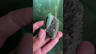 Emerald specimen #youtubeshorts #shortsfeed #shortsyoutube #emerald #shorts #short #shortvideo