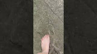 Walking in the ocean #diydawn #feet #walking #oceansounds #oceanlife