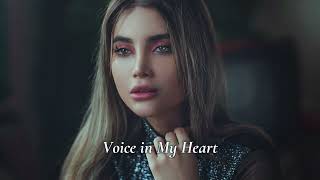 Imazee - Voice in My Heart (Extended Mix)