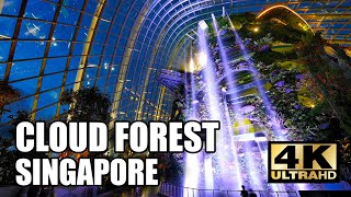 CLOUD FOREST SINGAPORE AT NIGHT 4K WALKING TOUR