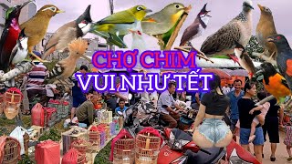 CHỢ CHIM RẤT ĐÔNG MỌI NGƯỜI CƯỜI VUI NHƯ TẾT VÌ NHIỀU CHIM ĐẸP RẺ