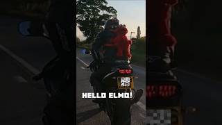 Death wobbles fun 😬 #motorcycle #bikelife #racebike #motovlogger