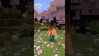 Minecraft affect #minecraft #shorts #viral