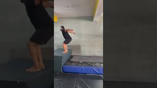 Parkour academy delhi india #rickygymnastic #parkour