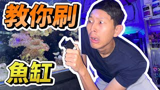 【藍箱水族】讓你變成刷魚缸大師~詳解磁力刷清潔秘笈！終結魚缸污垢！影片中有抽獎小彩蛋喔！ how to clean your tank glass? tank cleaner