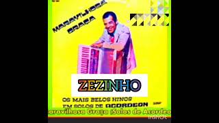 ZEZINHO  (MARAVILHOSA GRAÇA/SOLOS DE ACORDEON/LP COMPLETO)