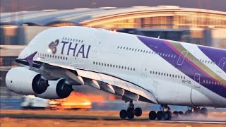 SMOOTHEST A380 Landing? Thai Airways Airbus A380 Sunrise Landing in Frankfurt am Main Airport