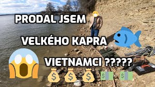 Konečně pořádný zimní kapr. Lov kapra v zimě. Prodal jsem kapra Vietnamci ? Lov kapra na boilie.