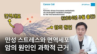 "암의 원인=만성 스트레스, 자율신경과 관계가 있습니다" 교감신경 항진, 면역세포, 암과의 관계(최신 논문)