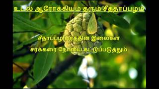 உடல் ஆரோக்கியம் தரும்   சீத்தாப்பழம்  benefits of custard apple