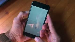 How to hard reset (reboot) iPhone 7 and 7 Plus