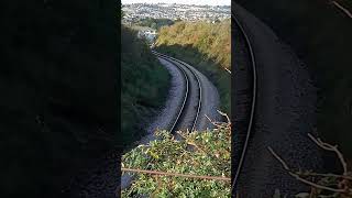 A nature video at Oyster Bend once again.