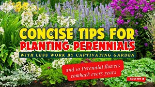 CONCISE TIPS for PLANTING PERENNIALS with Less Work by Captivating Garden 🌸⏰🌿🌼