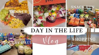 BI-WEEKLY GROCERY HAUL | Shopping at Walmart + Target  & Cooking Dinner | DITL MOM VLOG