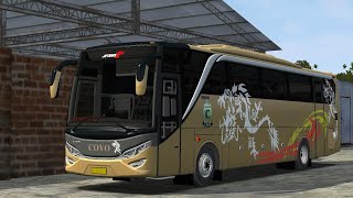 Livery COYO Jetbus 2 Mercy By asxfm