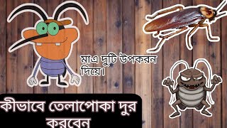 কীভাবে তেলাপোকা দুর করবেন। How to get rid of cockroaches