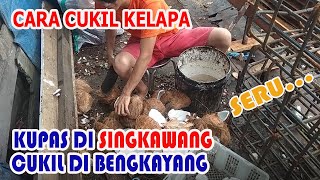 Cara Cukil Kelapa dan Belah Kelapa dengan Cepat