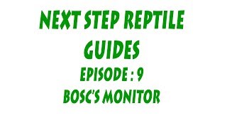 S'N'A Intermediate Series: Episode 9 - Bosc's Monitor (Varanus exanthematicus)