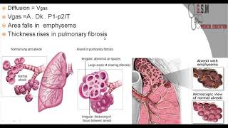 7-Physiology of respiratory system part3