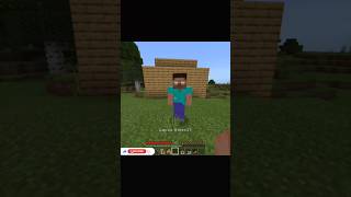 Eu e Meu Mano no Minecraft 319