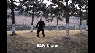 武当五形功 - wudang 5 Animals Qi Gong - 鹤 Crane / Kranich