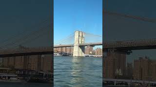 Beautiful Brooklyn Bridge #brooklyn #newyorkcity #usa #music #shorts