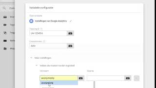 IP anonimiseren via Google Tag Manager