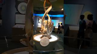 A day at Science Museum! Wonders of Science~ #fypシ #shorts #vlog