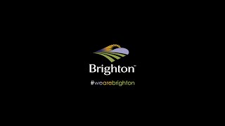 We Are Brighton!