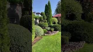 Прекрасное озеленение #shorts #сад #ландшафтныйдизайн #дача #garden