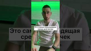 Лучшие трусы для мужчин