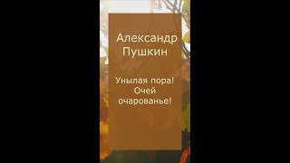 Александр Пушкин Унылая пора, очей очарованье 1833 г. короткий отрывок