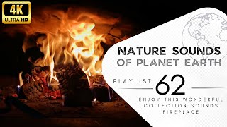 hours of pleasant natural sounds - Fireplace.