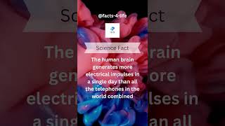 The Astonishing Power of the Human Brain! #facts4life #ScienceFacts #HumanBrain #Neuroscience