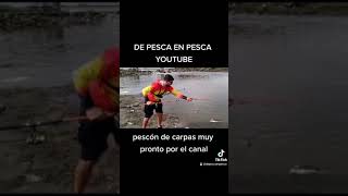 Pescando de a 2 carpas, una locura , #short #shorts