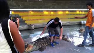 Sitting on a Big Salt Water Crocodile,with bare foot bushman