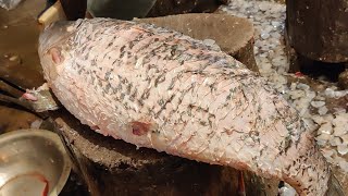 Amazing Big Rohu Fish Cutting Skills In Fish Market Bangladesh | Fish Cutting Skills