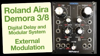 Roland Aira Demora - Digital Delay - Sound Demo - External Modulation