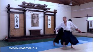 Aikido Iwama Ryu seminar.