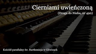 Cierniami uwieńczoną | Gliwice, św. Bartłomieja