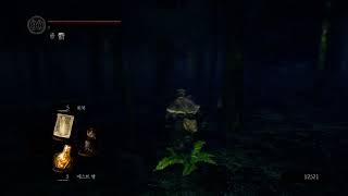 Dark Souls - Farming in the forest