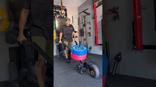 Freak Athlete Wheelbarrow Sled Preview (Push Pull Sled + Wheelbarrow)