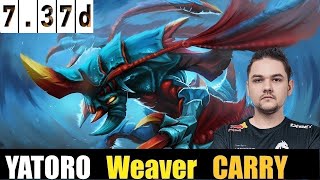 🤯 YATORO [Weaver] HC 7.37D - DOTA 2 HIGHEST MMR MATCH#dota2  #dota2gameplay   #yatorodota2