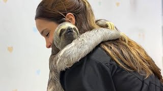 Love of Animals Moments That Will Cure Your Depression!