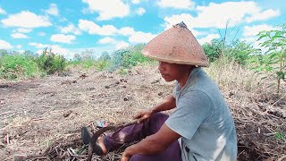 PAK JUMIRAN BERSIHKAN LAHAN LAGI UNTUK TANAM CABE