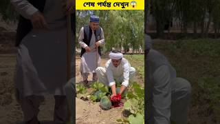 জাদুর খরমুজার ভেতরের জুস || #viral #viralshort